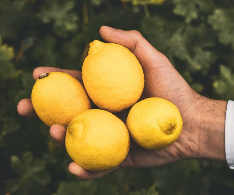 Een hand houdt vier verse, gele citroenen vast.